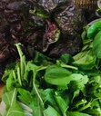 Lundi ou mardi : Salades vertes mélangées