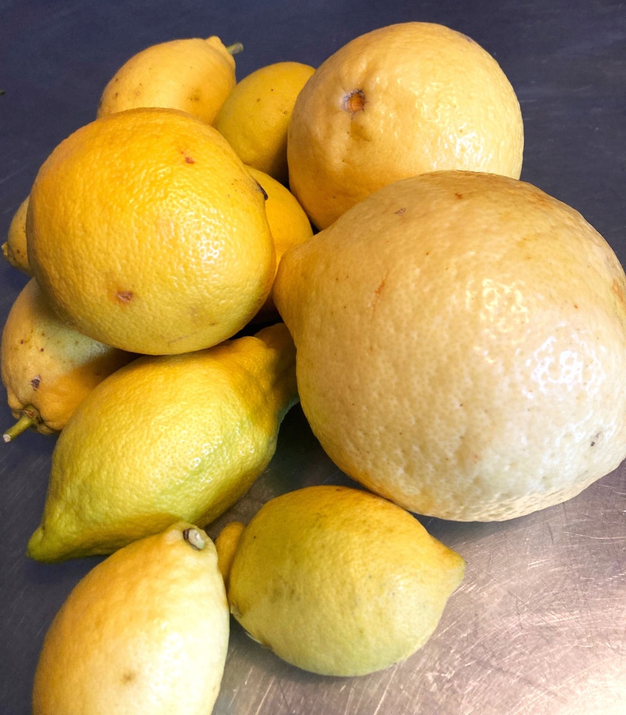 Jeudi ou vendredi : Epaule d'agneau aux agrumes, légumes fondants