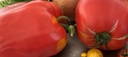 Jeudi et vendredi : Salade de tomates pelées à l'origan frais du jardin