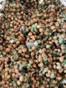 Vendredi : Salade de lentilles aux herbes folles