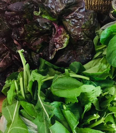 Mercredi ou vendredi : Mesclun de salades vertes du marché