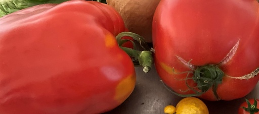 Jeudi et vendredi : Salade de tomates pelées à l'origan frais du jardin